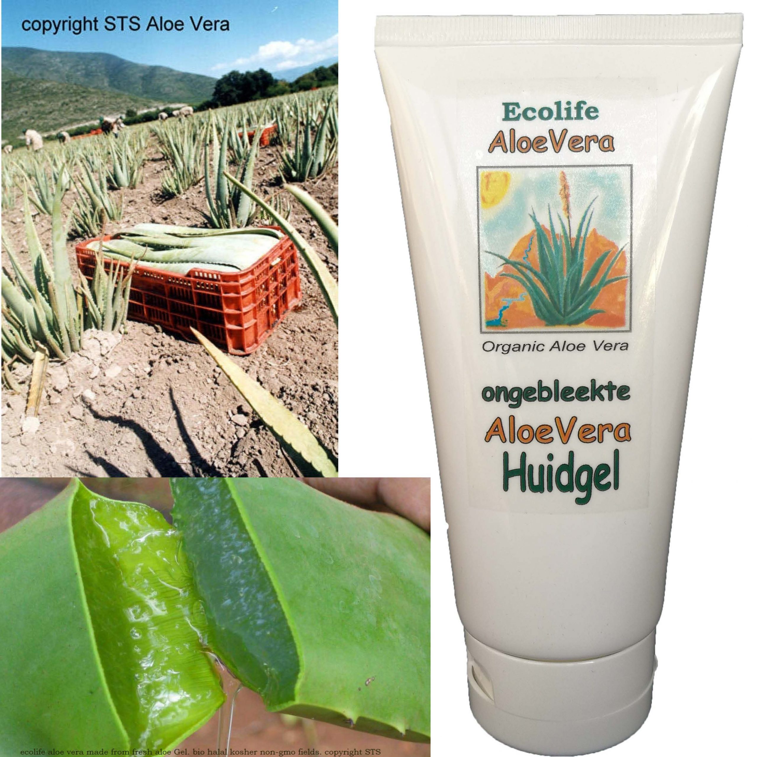 Etna sieraden bijeenkomst Huidverzorging - Aloe Vera Puur & Gezond webshop aloe kopen gel juice